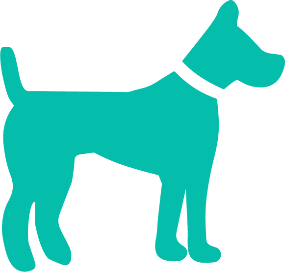 matriz BCG - pruductos perro